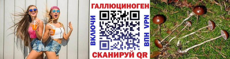 Галлюциногенные грибы Magic Shrooms Дегтярск
